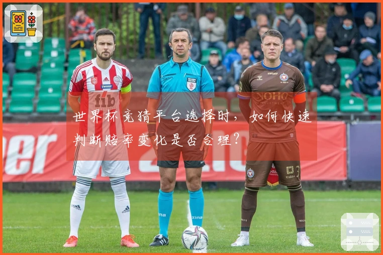 世界杯竞猜平台选择时，如何快速判断赔率变化是否合理？