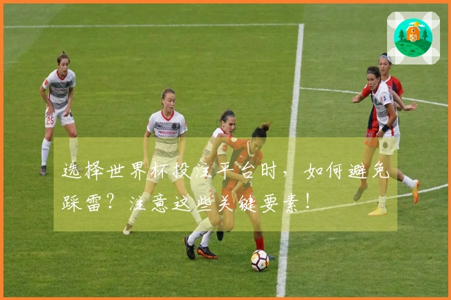 选择世界杯投注平台时，如何避免踩雷？注意这些关键要素！