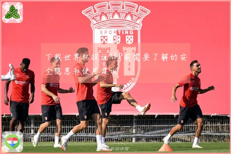 下载世界杯投注APP前需要了解的安全隐患和使用建议