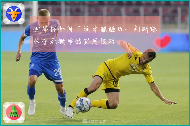 世界杯如何下注才能避坑,判断球队夺冠概率的实用技巧