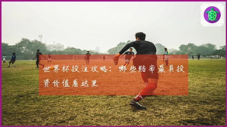 世界杯投注攻略：哪些赔率最具投资价值看这里