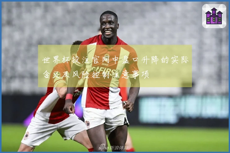 世界杯投注官网中盘口升降的实际含义及风险控制注意事项