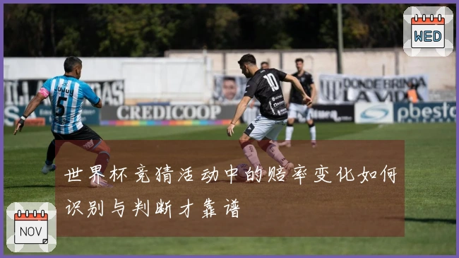 世界杯竞猜活动中的赔率变化如何识别与判断才靠谱