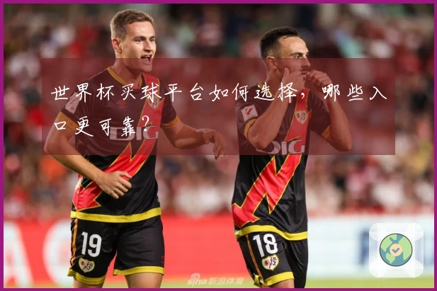 世界杯买球平台如何选择，哪些入口更可靠？