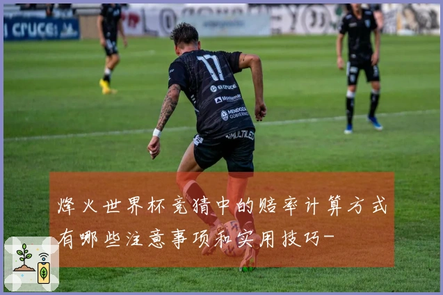 烽火世界杯竞猜中的赔率计算方式有哪些注意事项和实用技巧-