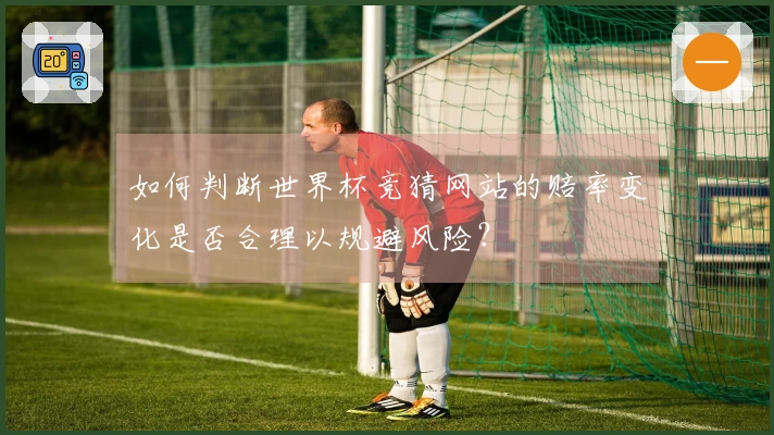 如何判断世界杯竞猜网站的赔率变化是否合理以规避风险?