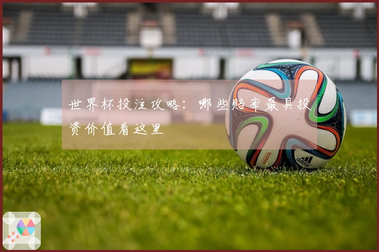 世界杯投注攻略：哪些赔率最具投资价值看这里