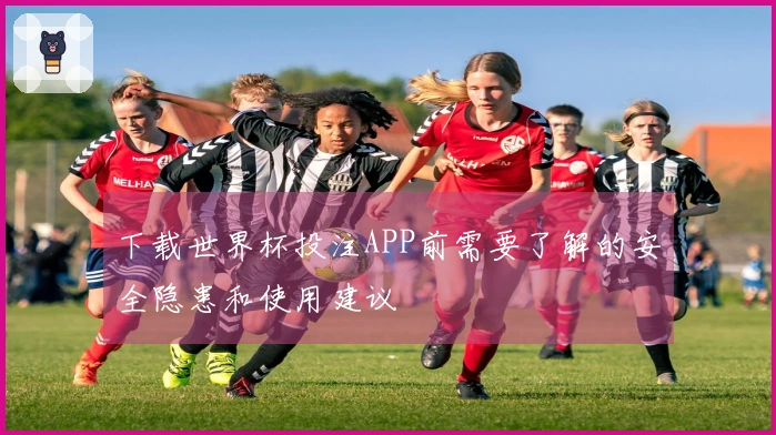下载世界杯投注APP前需要了解的安全隐患和使用建议