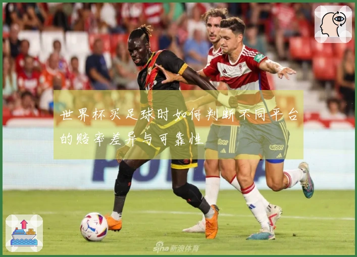 世界杯买足球时如何判断不同平台的赔率差异与可靠性