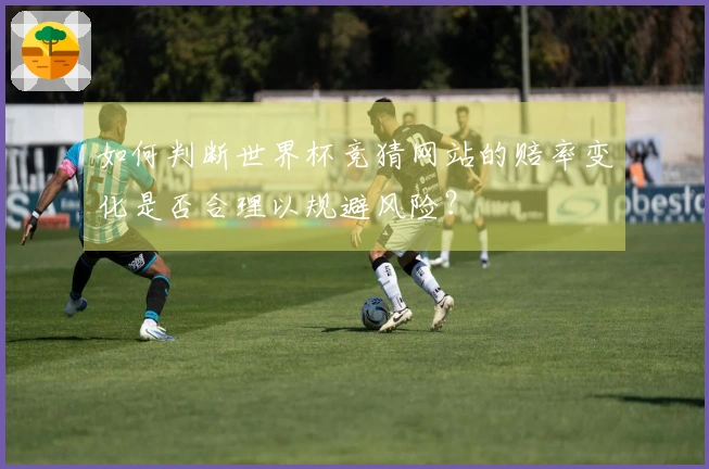 如何判断世界杯竞猜网站的赔率变化是否合理以规避风险？