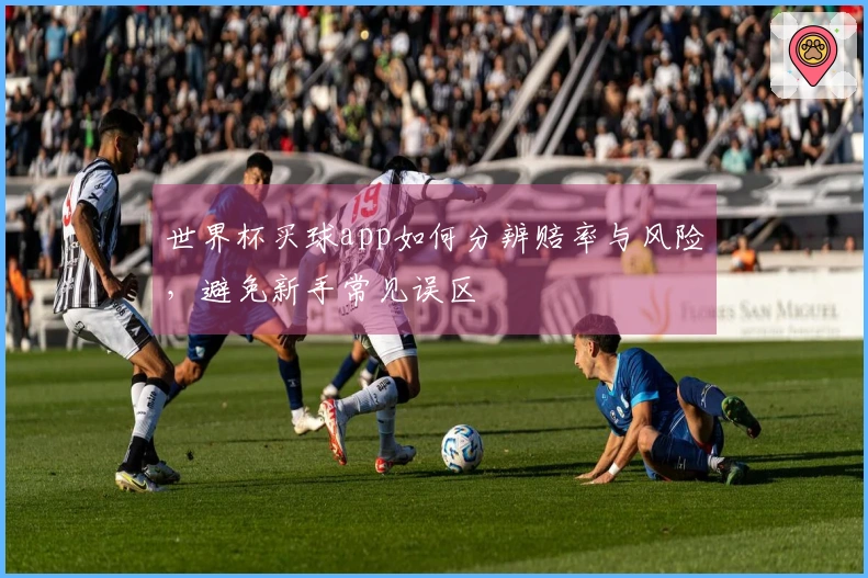 世界杯买球app如何分辨赔率与风险，避免新手常见误区