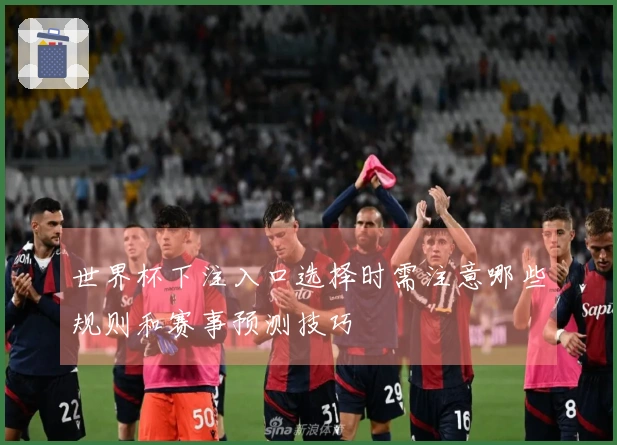 世界杯下注入口选择时需注意哪些规则和赛事预测技巧