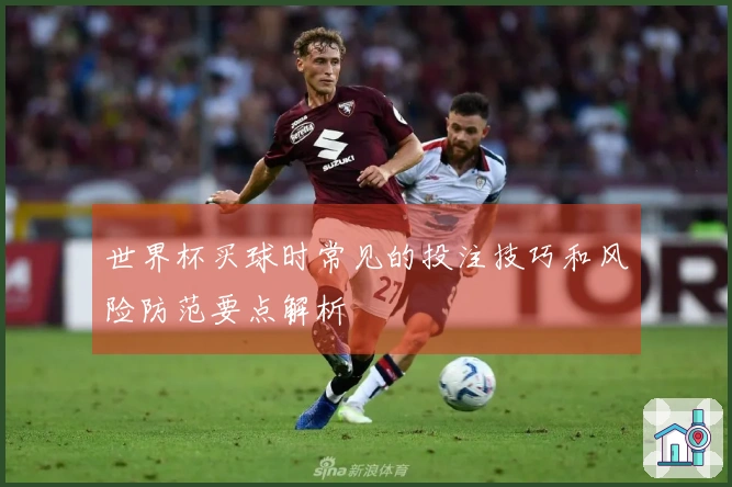 世界杯买球时常见的投注技巧和风险防范要点解析