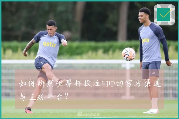 如何辨别世界杯投注app的官方渠道与正规平台？